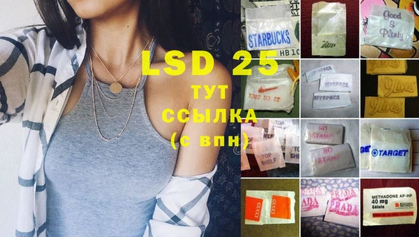 шишки Краснотурьинск