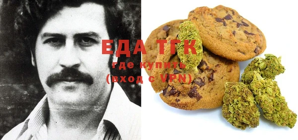 шишки Краснотурьинск