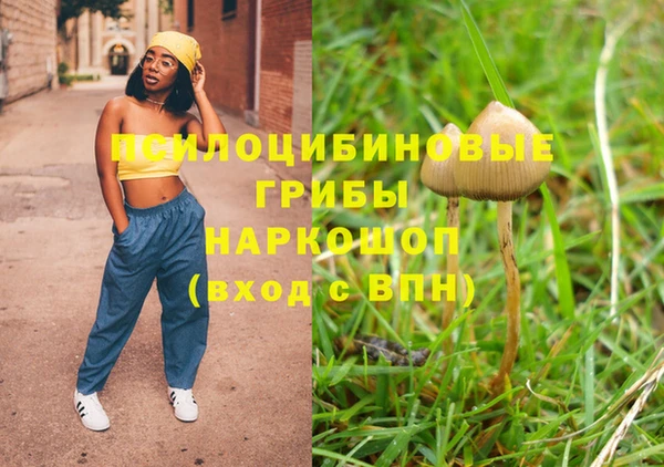 шишки Краснотурьинск