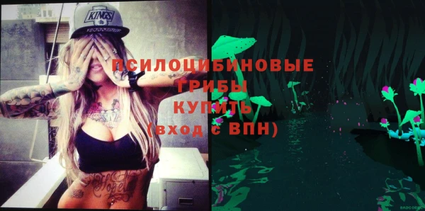 прущая мука Краснослободск