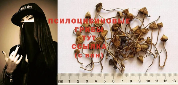 шишки Краснотурьинск