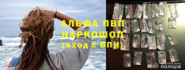 шишки Краснотурьинск