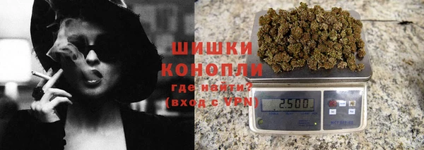 шишки Краснотурьинск